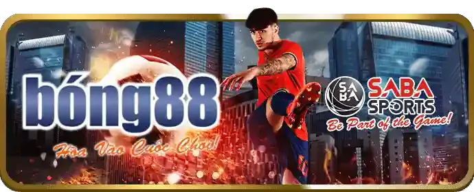 Thưởng nạp lại hàng ngày và hoàn trả cược cho người chơi